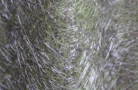 Shipton Lee fibreglass roof work